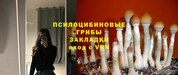 винт Алзамай