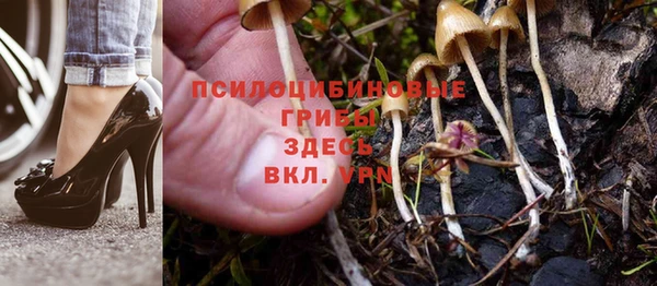 винт Алзамай
