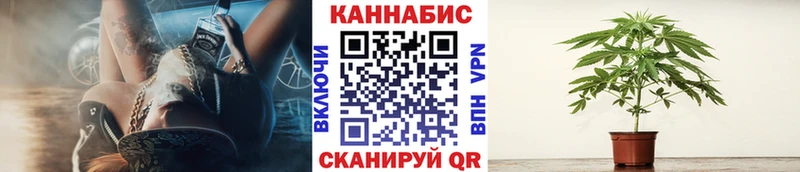 МАРИХУАНА сатива  Беломорск 